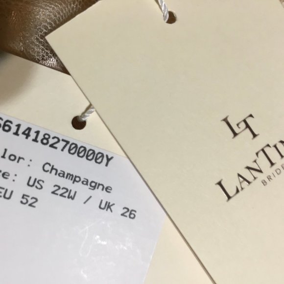 Women's 22 Size Tea Length Chiffon Beaded Lace - Picture 6 of 6